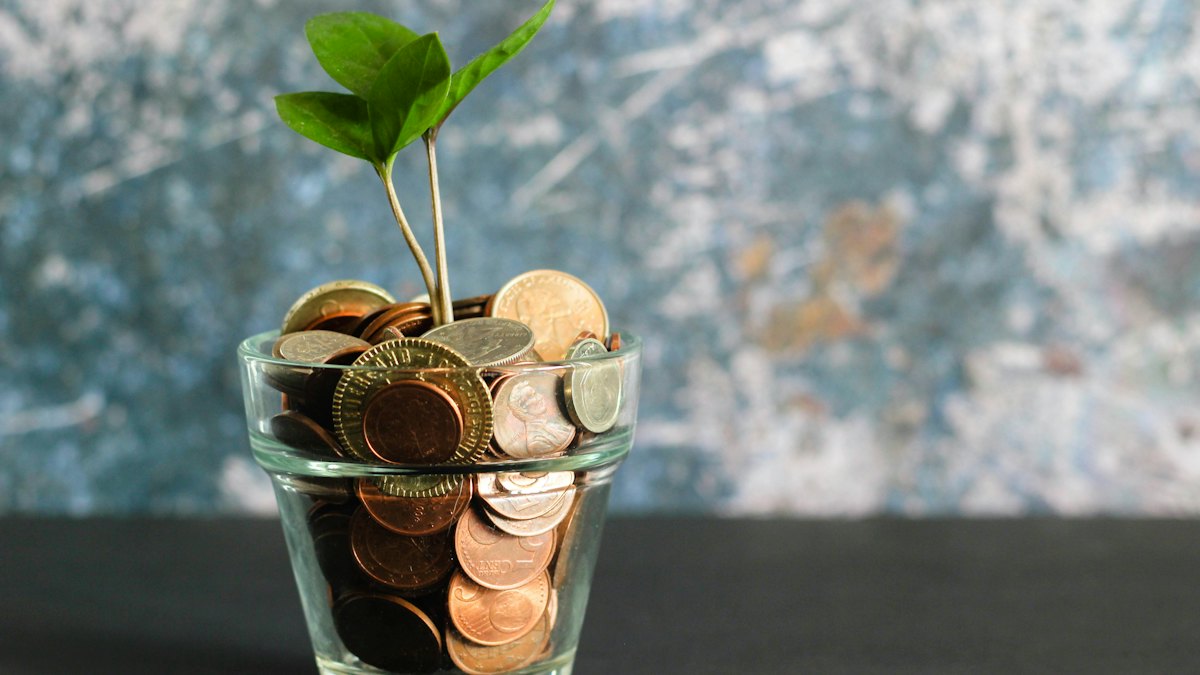 A plant growing from coins